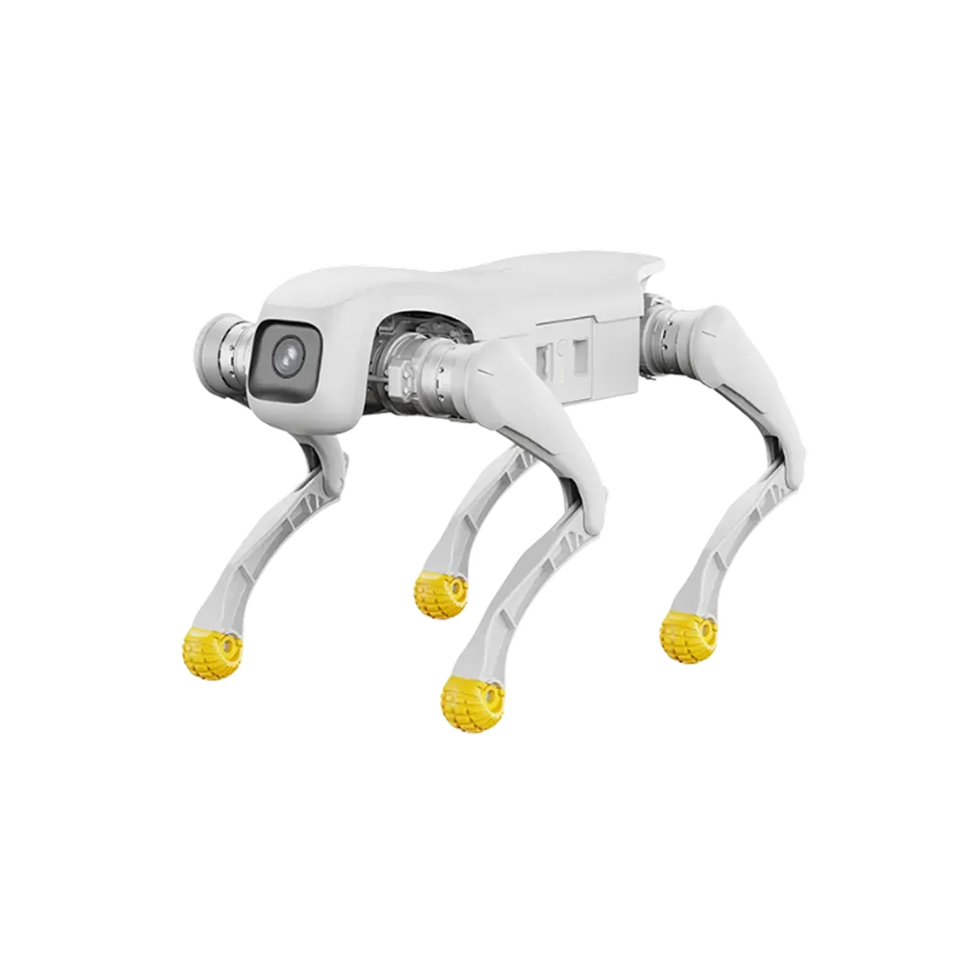 AgiBot AgiBot D1 Edu