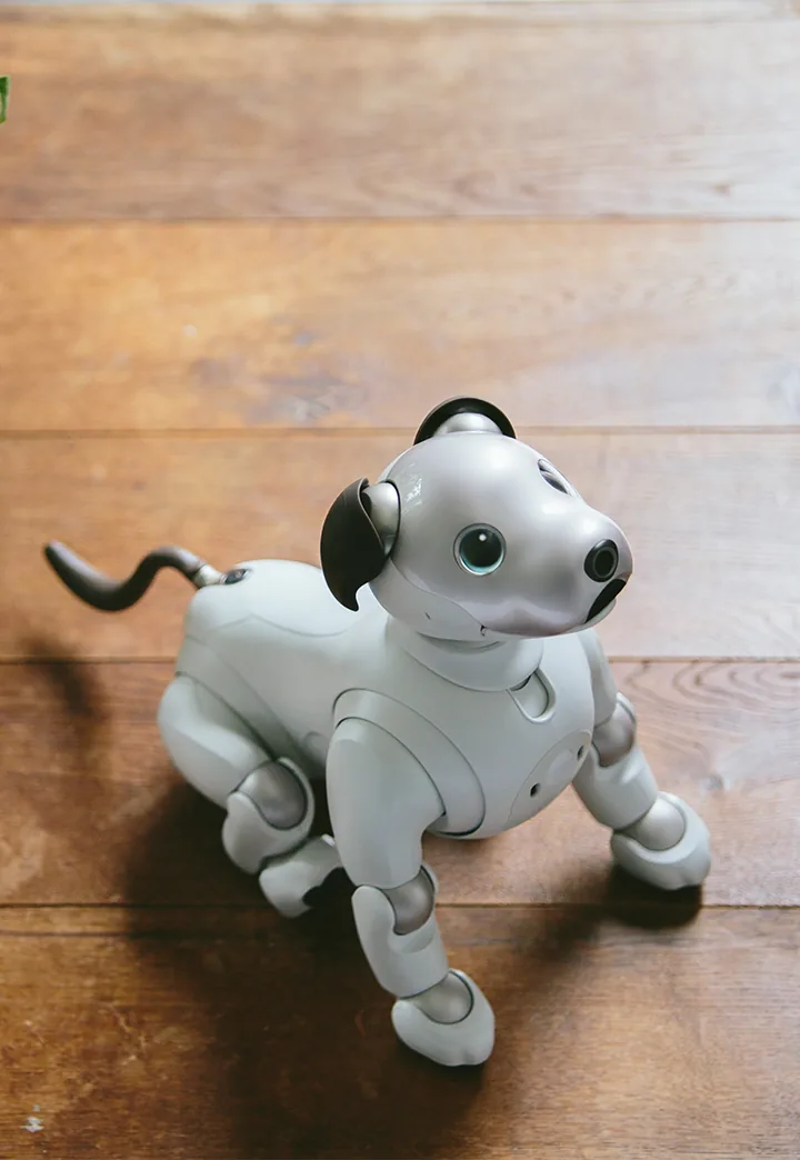 Sony Sony aibo ERS-1000
